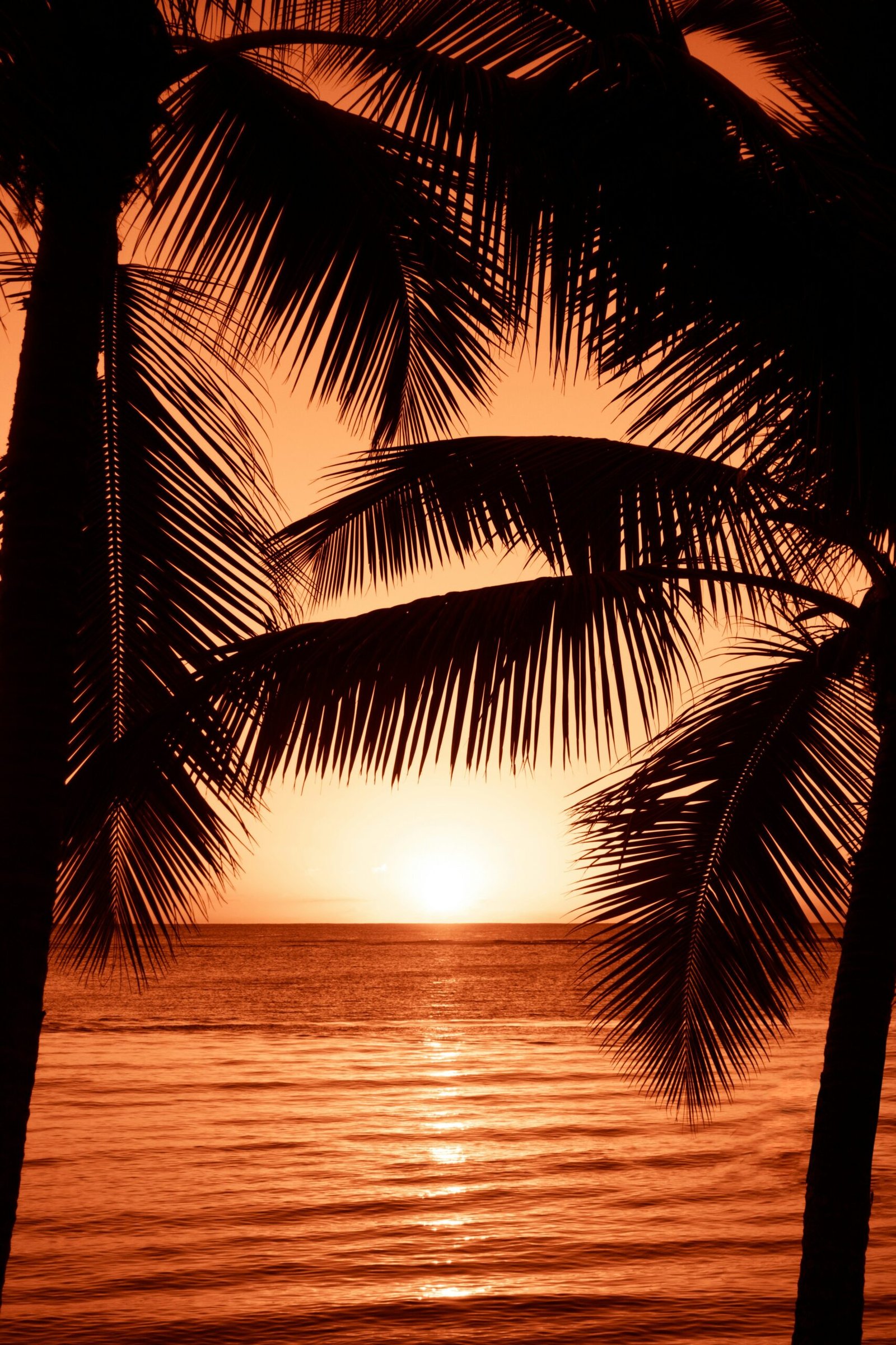our Gateway to Paradise